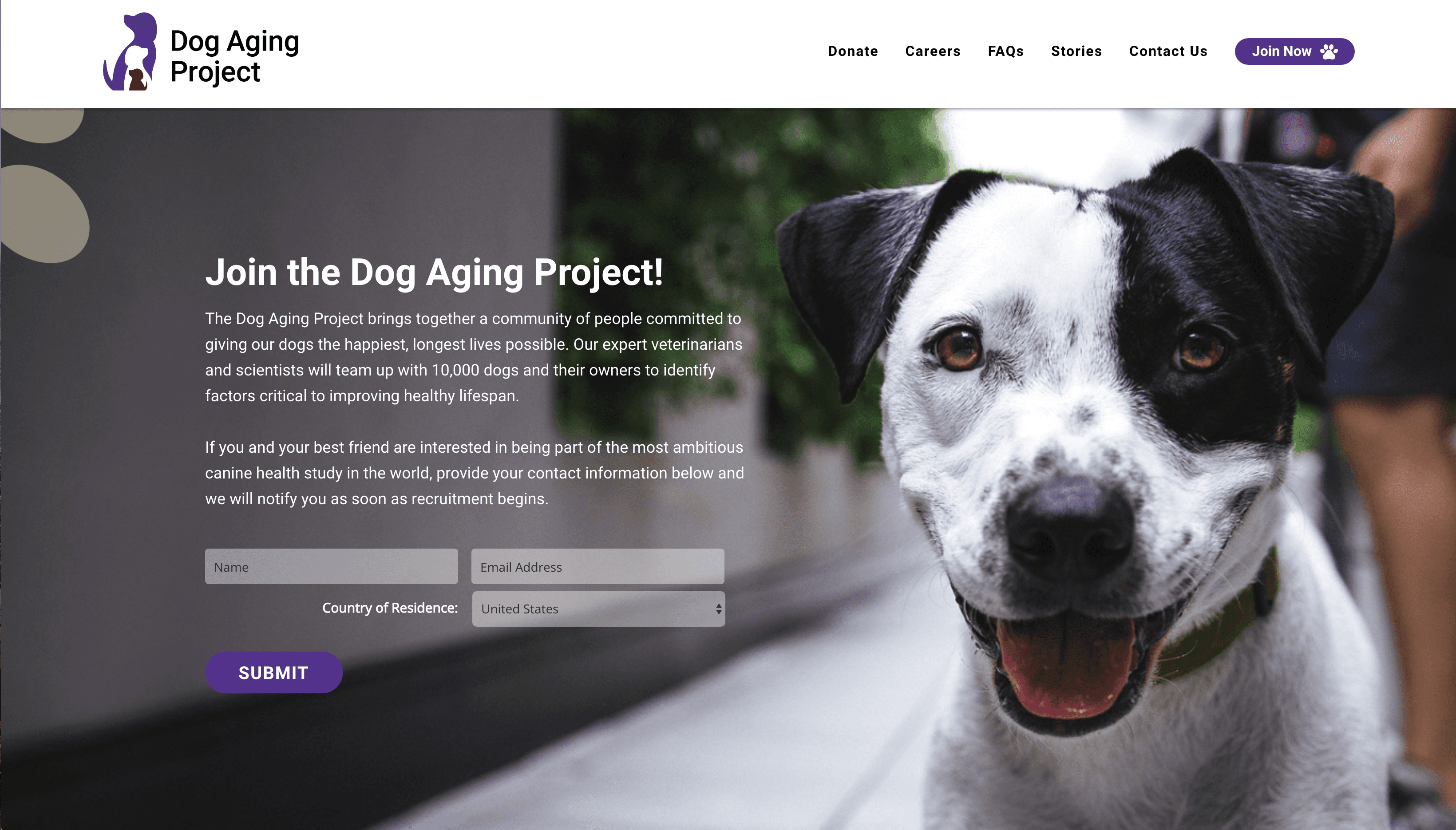 New Website Launched! | Dog Aging Project