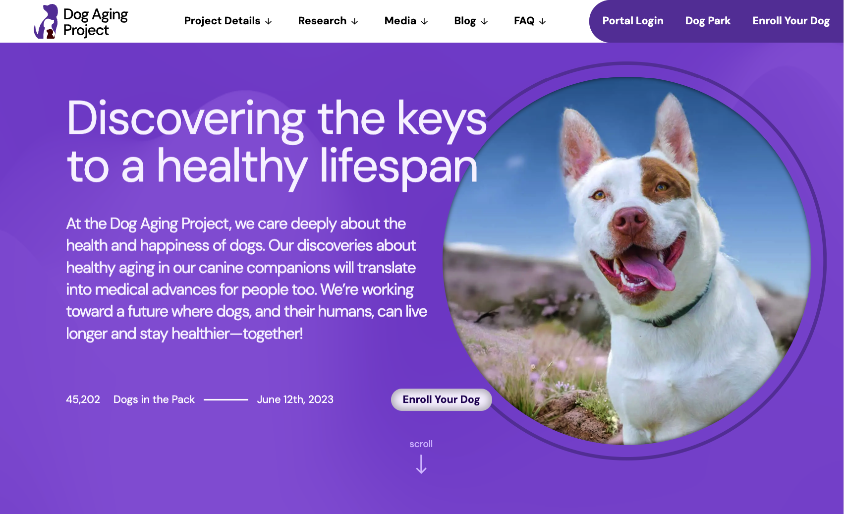 https://dogagingproject.org/images/meta/og-home.png